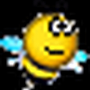 forumsmiley306.gif