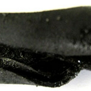 rubber