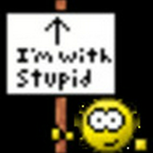 stupid.gif