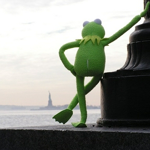 kermit boos.jpg