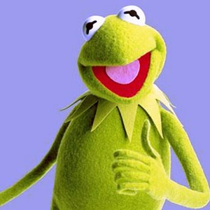 kermit happy.jpg