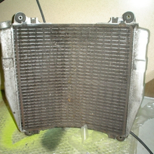 radiator met vin 50 euro.JPG
