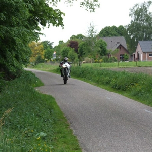 DSCF1954 (Large).JPG