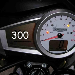 256.JPG