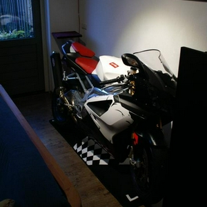 PICT8828 (medium).jpg
