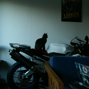 PICT8831.JPG
