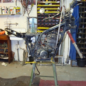 DSC02575.jpg
