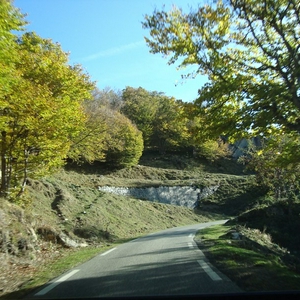 DSC01179.jpg