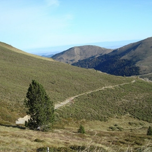 DSC01185.jpg