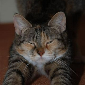 DSC_2879 (Small).JPG