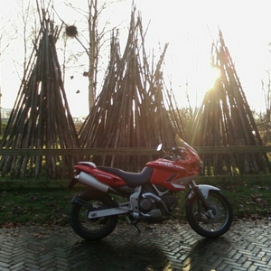 SP_A0720.jpg
