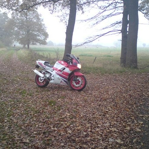 MF herfstfoto topic