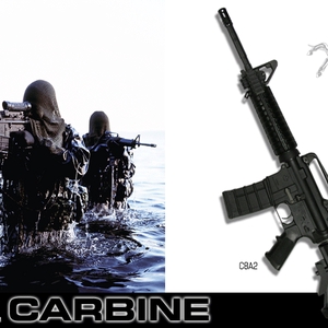 c8-pic.gif