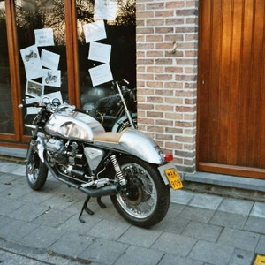 guz e2.jpg