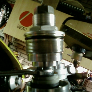 SP_A0768.jpg