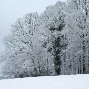 sneeuw-5543.jpg