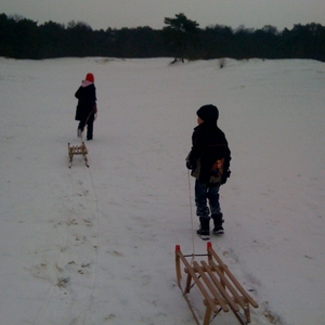 Soesterduinen.jpg