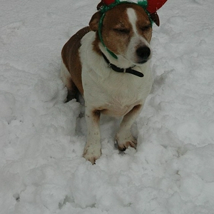 DSC_9678bobby.jpg