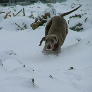 DSCF2665kl.jpg