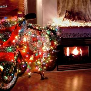 BeekKatanaChristmas1024.jpg