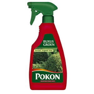 Buxus Groen - 500 mlPokon.jpg