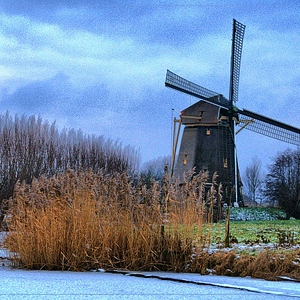 DSC_hdrtst1.JPG