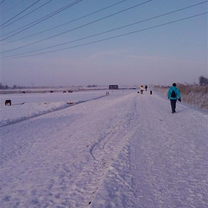 IMAG0071 (Large).jpg