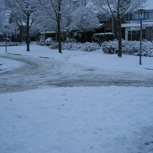winter.jpg