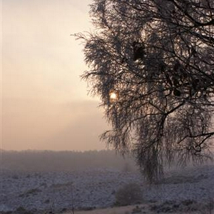 DSC00963 (Small).JPG