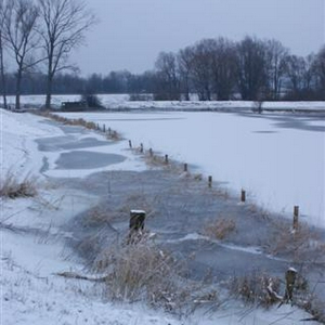 DSC00985 (Small).JPG