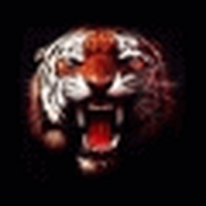 avatar tijger 001.gif