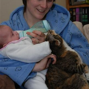 DSC_5836 (Small).JPG