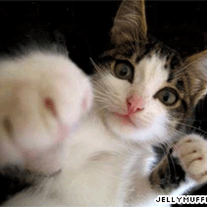 35funny.gif