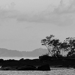 P1010414.jpg