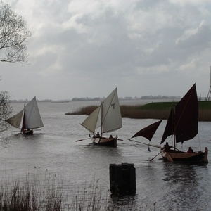 DSC02765a klein.JPG