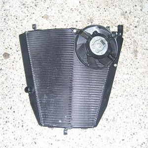 PIC_0271a.JPG