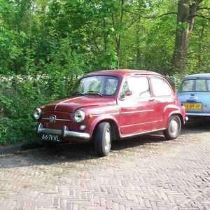 100_0127verkleind.JPG