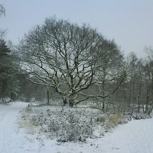 DSC00363-1.JPG