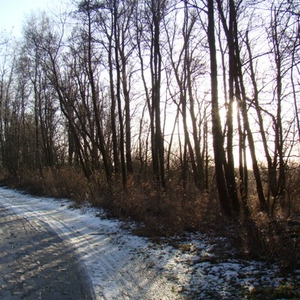 DSC02736a klein.JPG