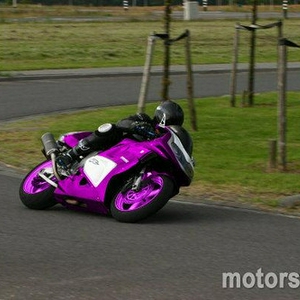 roze tlr.jpg