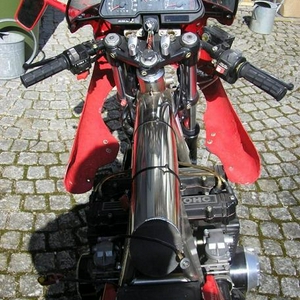 RAUIII