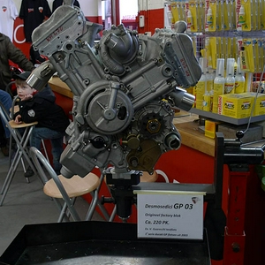 P1010159.jpg