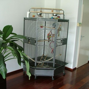 DSCF2813.JPG