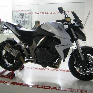 Barracuda1.jpg