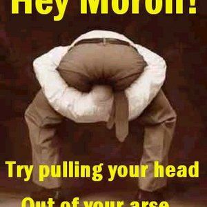 moron-head-in-ass.jpg