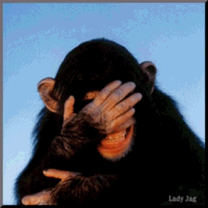 !cid_5_4080022725@web51505_mail_re2_yahoo.gif
