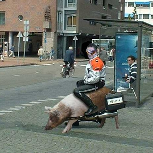 knoei.jpg