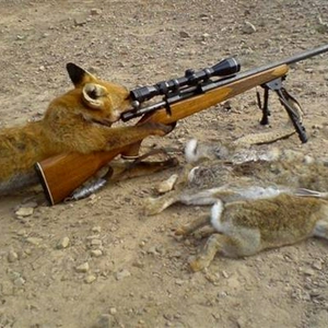 Vossenjacht in Canada.jpg