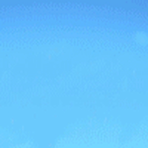 2.gif