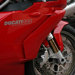 duc.jpg